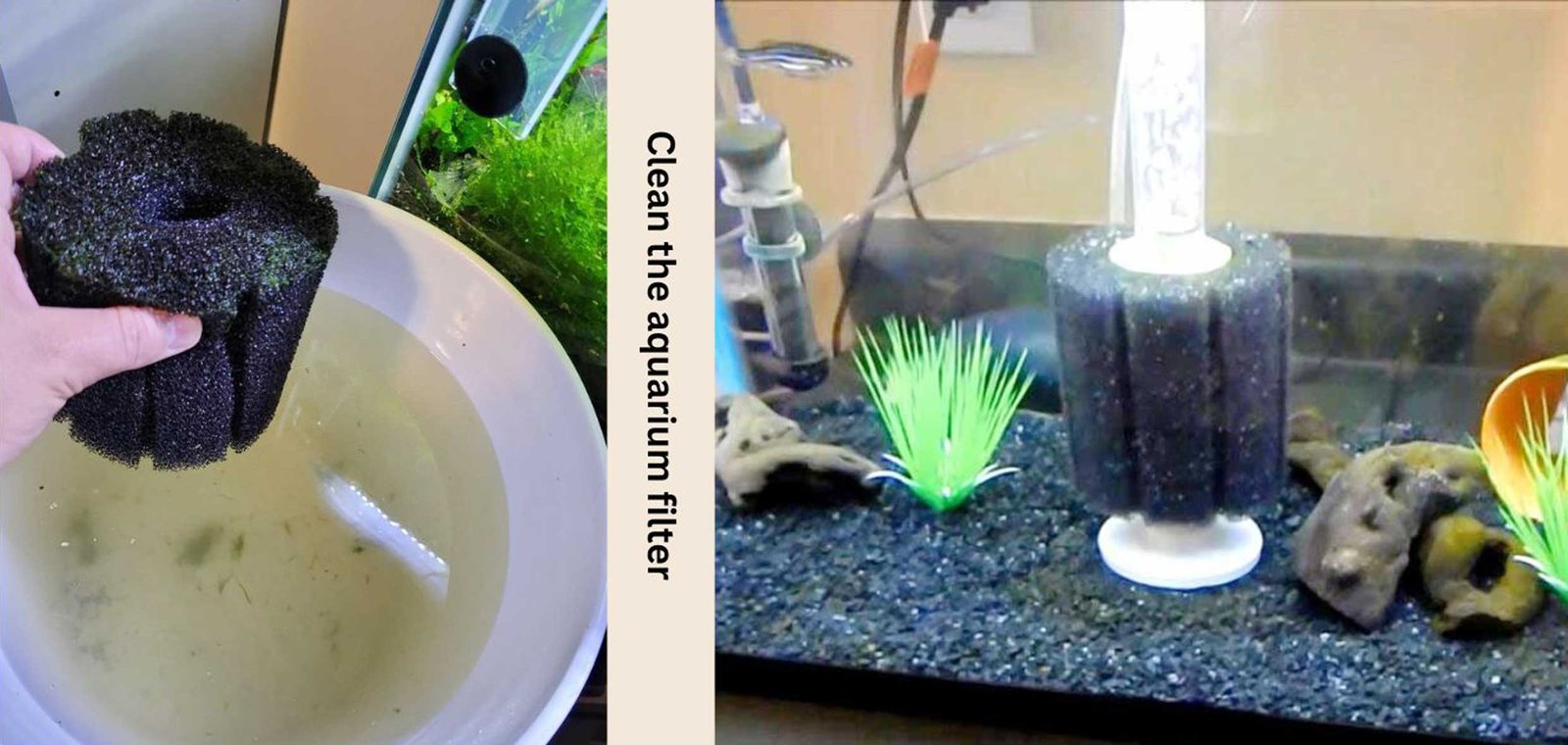 Clean the aquarium filter systems