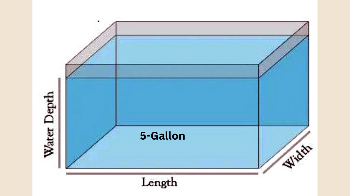 5-gallon tank