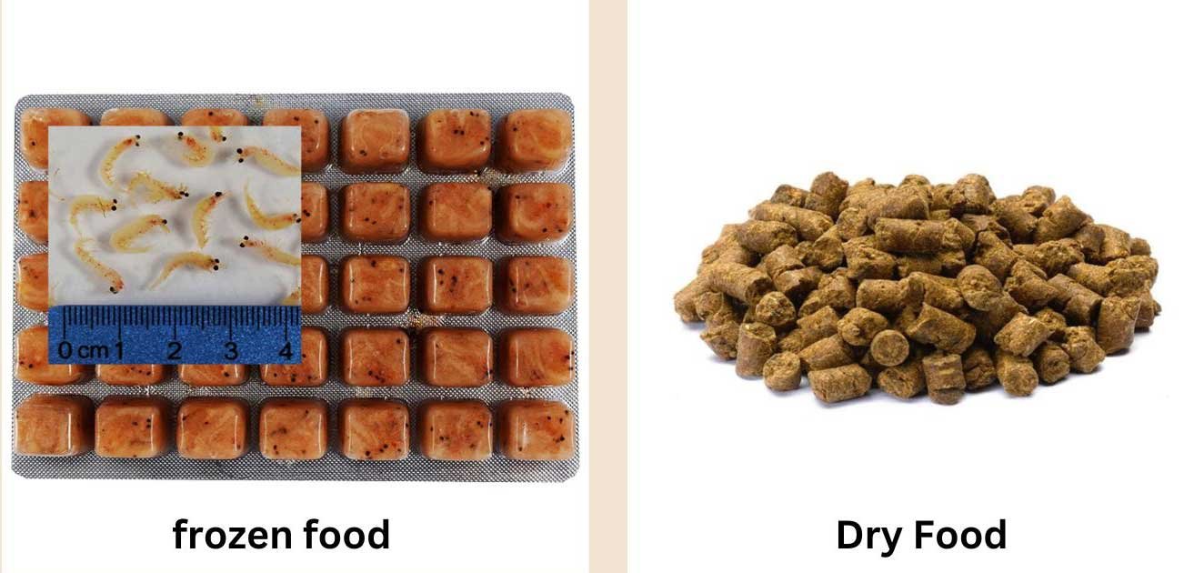 Dry-Food-and-frozen-food