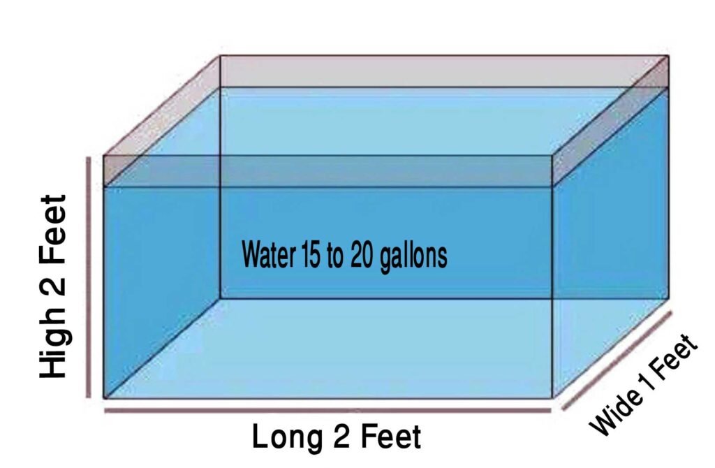 Choose the Right Tank