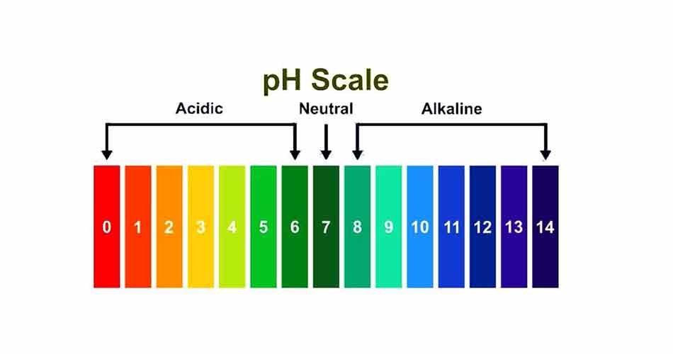 pH scale