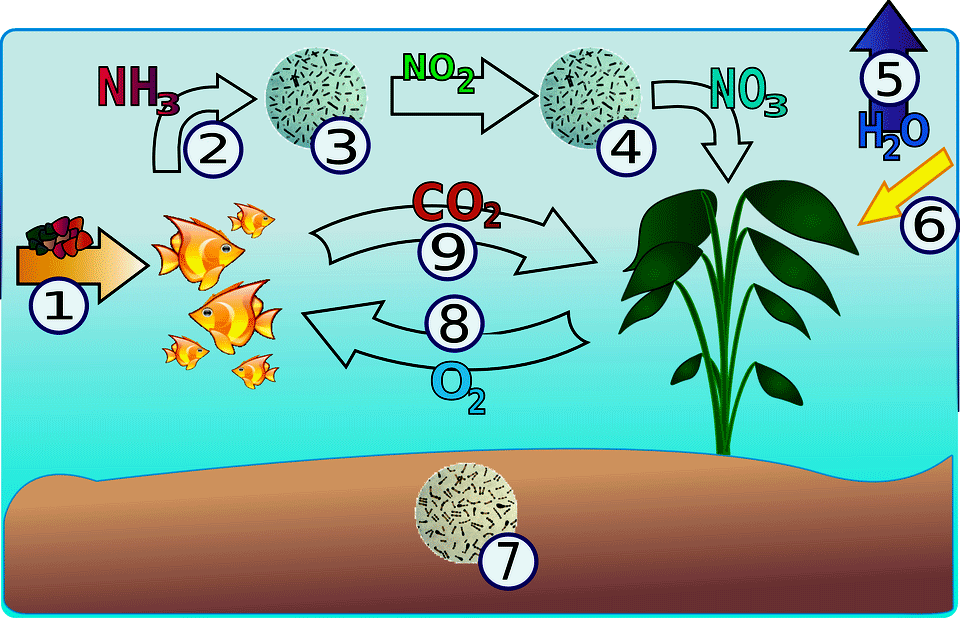 Benefits Of Co2