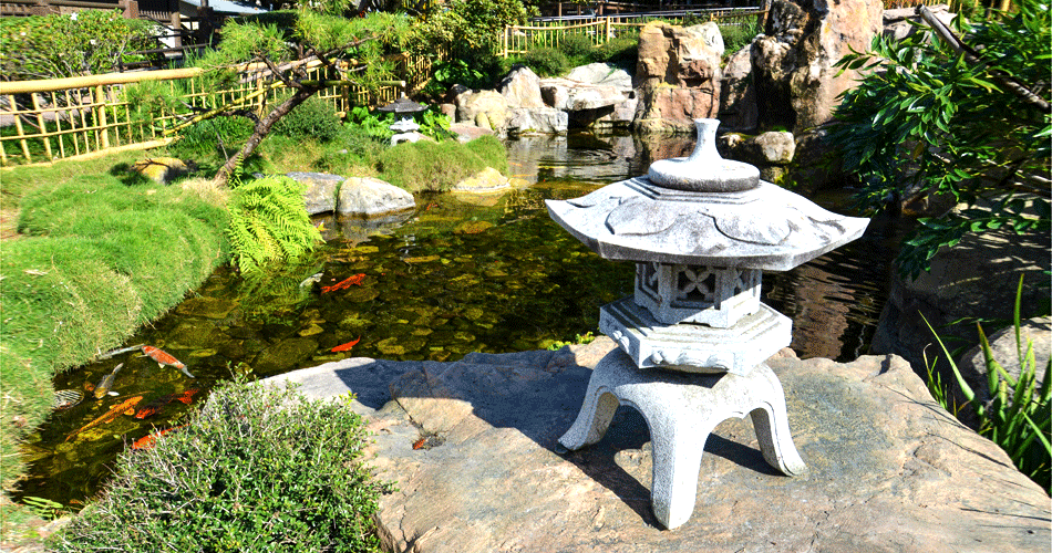 Koi-Pond
