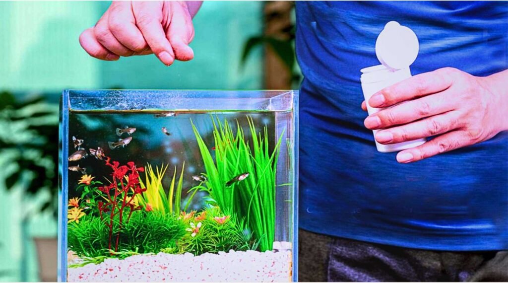 how long can fish survive without food
