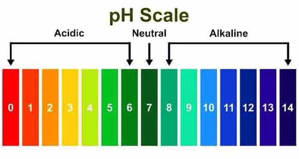 pH Scale