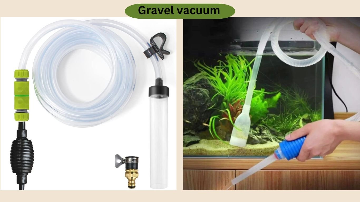 vacuum