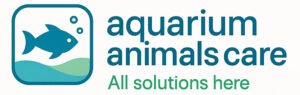 Aquarium animals care