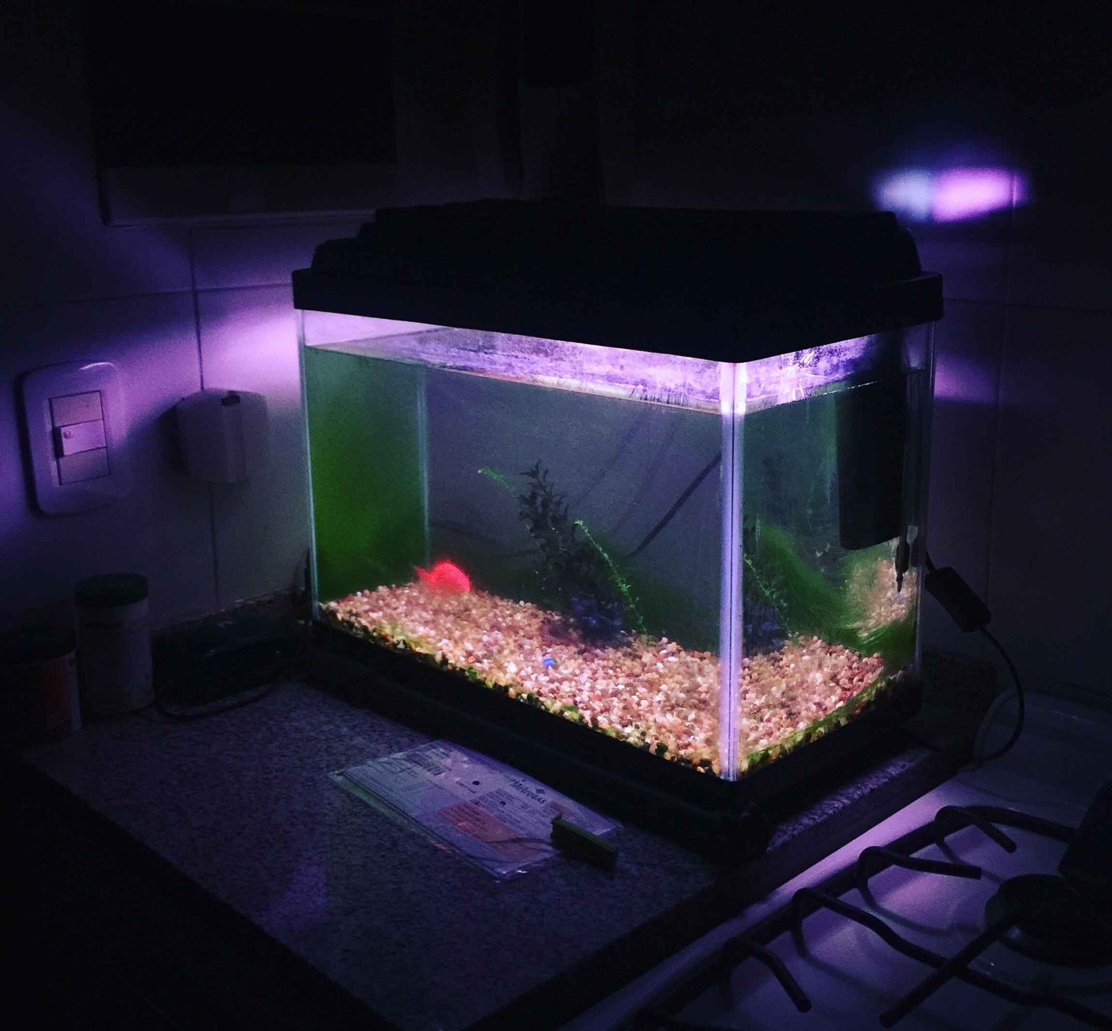 Lighting For Different Aquariums