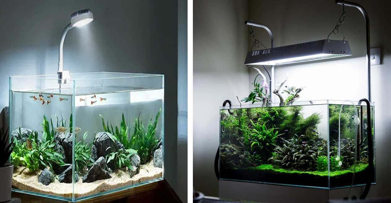 Lighting Solutions
