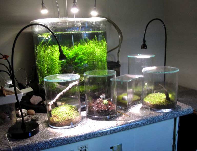Types Of Aquarium Lights